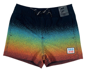 Hudson Boardshort