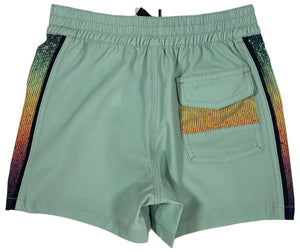 Spray Down Boardshorts